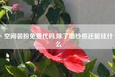 空间装扮免费代码,除了婚纱照还能挂什么