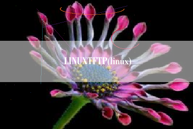 LINUXTFTP(linux)