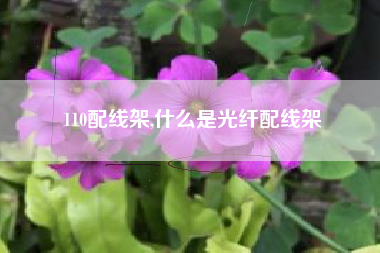 110配线架,什么是光纤配线架