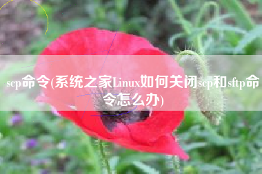 scp命令(系统之家Linux如何关闭scp和sftp命令怎么办)