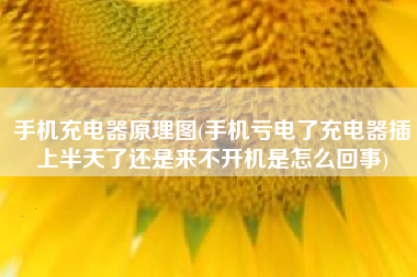 手机充电器原理图(手机亏电了充电器插上半天了还是来不开机是怎么回事)