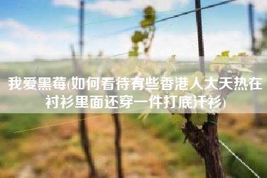 我爱黑莓(如何看待有些香港人大天热在衬衫里面还穿一件打底汗衫)