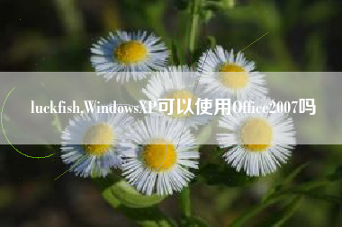 luckfish,WindowsXP可以使用Office2007吗