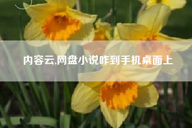 内容云,网盘小说咋到手机桌面上