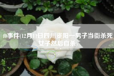 f0事件(12月11日四川资阳一男子当街杀死女子然后自杀)