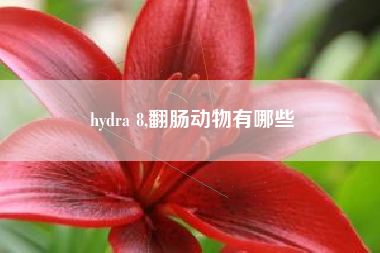 hydra 8,翻肠动物有哪些