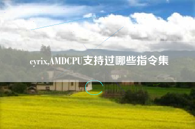 cyrix,AMDCPU支持过哪些指令集