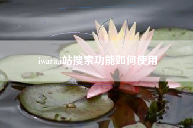 iwara,i站搜索功能如何使用
