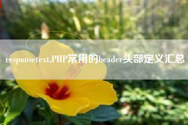 responsetext,PHP常用的header头部定义汇总