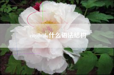 citydo,do什么语法结构
