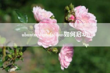 ubuntu shurufa(ibus如何启动)