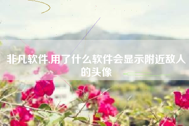 非凡软件,用了什么软件会显示附近敌人的头像