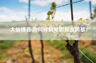 大仙博客,如何评价电影反贪风暴3