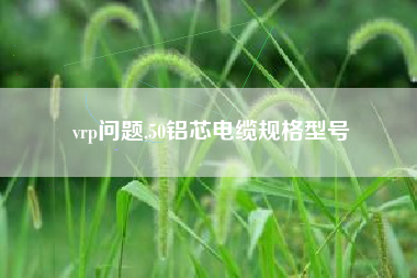 vrp问题,50铝芯电缆规格型号