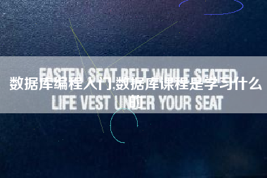 数据库编程入门,数据库课程是学习什么的
