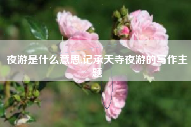 夜游是什么意思,记承天寺夜游的写作主题