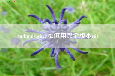 mdfmds,win1032位用哪个版本cdr