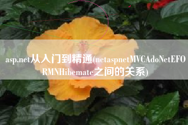 asp.net从入门到精通(netaspnetMVCAdoNetEFORMNHibemate之间的关系)