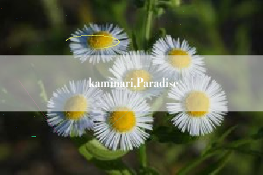 kaminari,Paradise