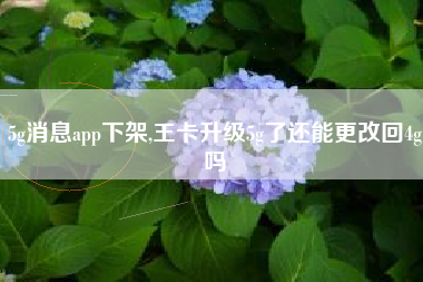 5g消息app下架,王卡升级5g了还能更改回4g吗