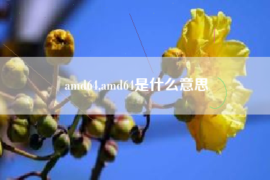 amd64,amd64是什么意思