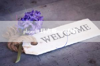 player10,玛吉斯mp10参数