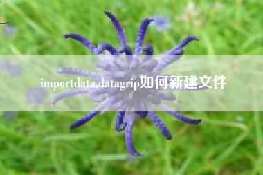 importdata,datagrip如何新建文件