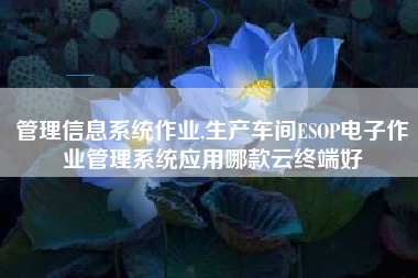 管理信息系统作业,生产车间ESOP电子作业管理系统应用哪款云终端好
