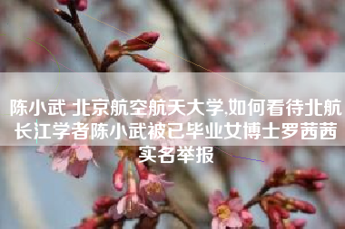陈小武 北京航空航天大学,如何看待北航长江学者陈小武被已毕业女博士罗茜茜实名举报