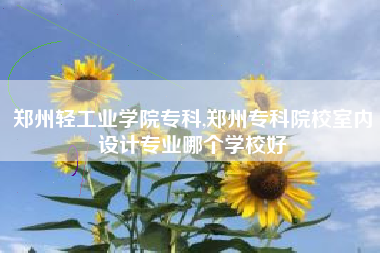郑州轻工业学院专科,郑州专科院校室内设计专业哪个学校好