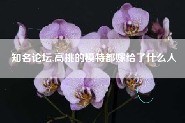 知名论坛,高挑的模特都嫁给了什么人