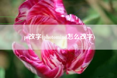 ps改字(photomind怎么改字)