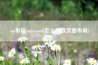 css布局(microsoft怎么修改页面布局)