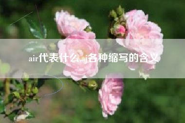 air代表什么,aj各种缩写的含义