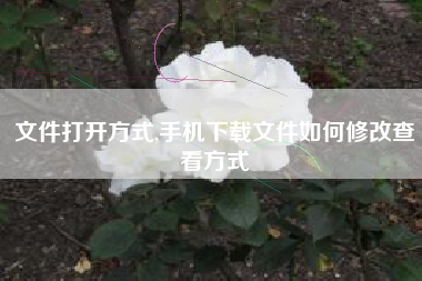 文件打开方式,手机下载文件如何修改查看方式