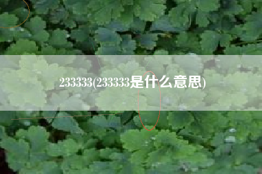 233333(233333是什么意思)