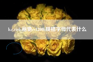 b.c.rich,丽驰cv1200b规格字母代表什么