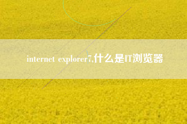 internet explorer7,什么是IT浏览器