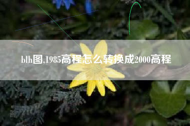 blh图,1985高程怎么转换成2000高程