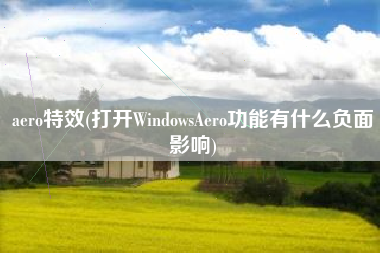 aero特效(打开WindowsAero功能有什么负面影响)