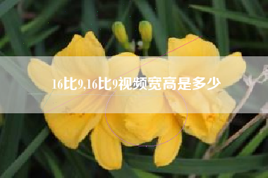 16比9,16比9视频宽高是多少