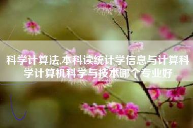科学计算法,本科读统计学信息与计算科学计算机科学与技术哪个专业好