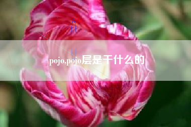 pojo,pojo层是干什么的