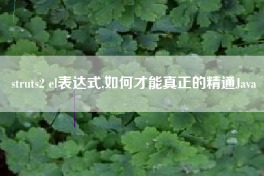 struts2 el表达式,如何才能真正的精通Java