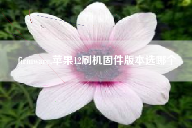 firmware,苹果12刷机固件版本选哪个