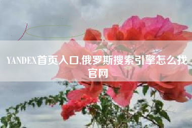 YANDEX首页入口,俄罗斯搜索引擎怎么找官网