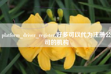 platform_driver_register,好多可以代为注册公司的机构