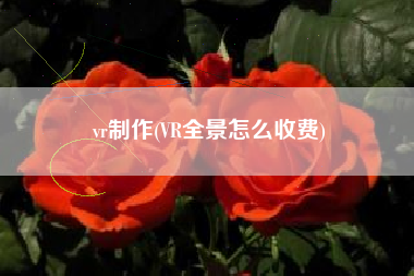 vr制作(VR全景怎么收费)