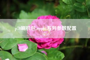 p70刷机包,oppoa系列参数配置