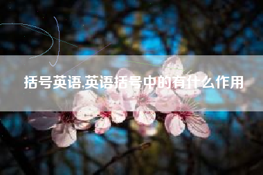 括号英语,英语括号中的有什么作用